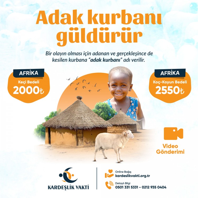 Adak Kurbanı Keçi