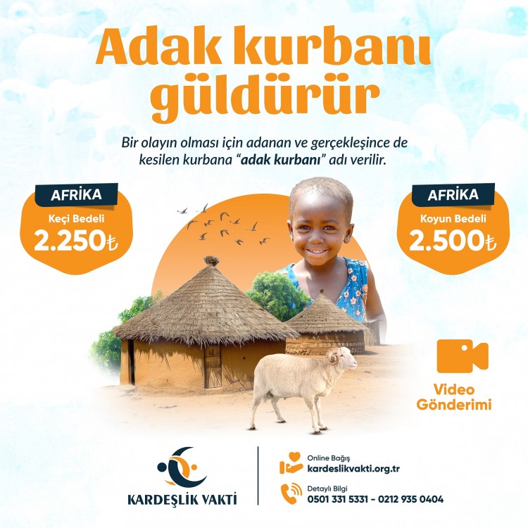 Adak Kurbanı Koç