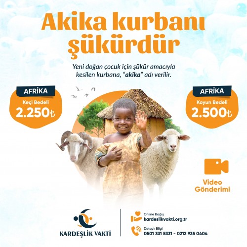Akika Kurbanı Keçi Akika Kurbanı Keçi